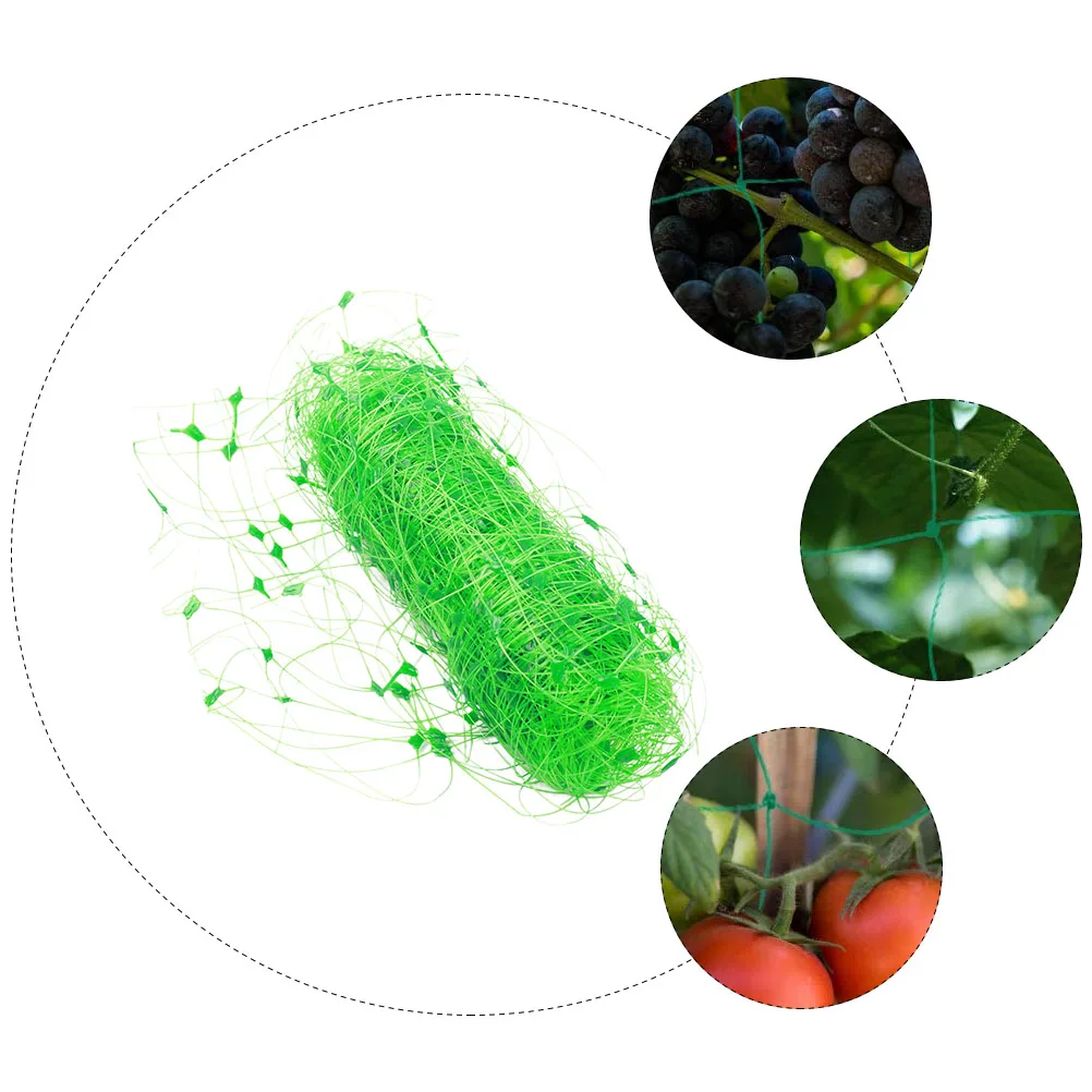 Durable PP Plant Climbing Net 100x200cm Fits Vertical Horizontal Gardens Supports Heavy Fruits Vegetables Easy Install Gardening
Durable PP Plant Climbing Net 100x200cm Fits Vertical Horizontal Gardens Supports Heavy Fruits Vegetables Easy Install Gardening