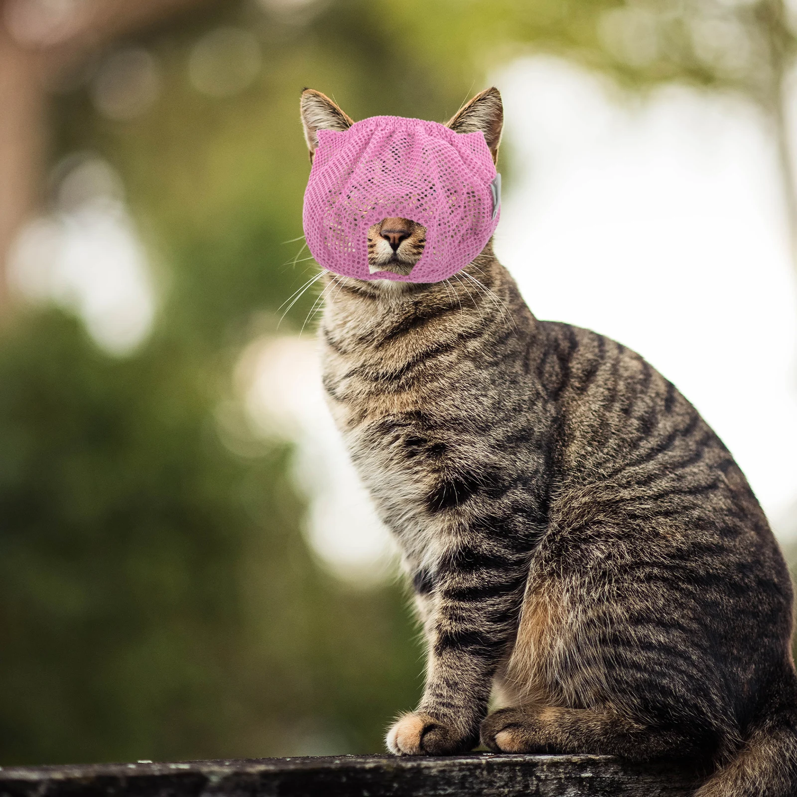 Pet Cat Mask Breathable Anti lick Polyester Mesh Cone Muzzle for Biting Pink Lightweight Durable Home Hospital Use
Pet Cat Mask Breathable Anti lick Polyester Mesh Cone Muzzle for Biting Pink Lightweight Durable Home Hospital Use