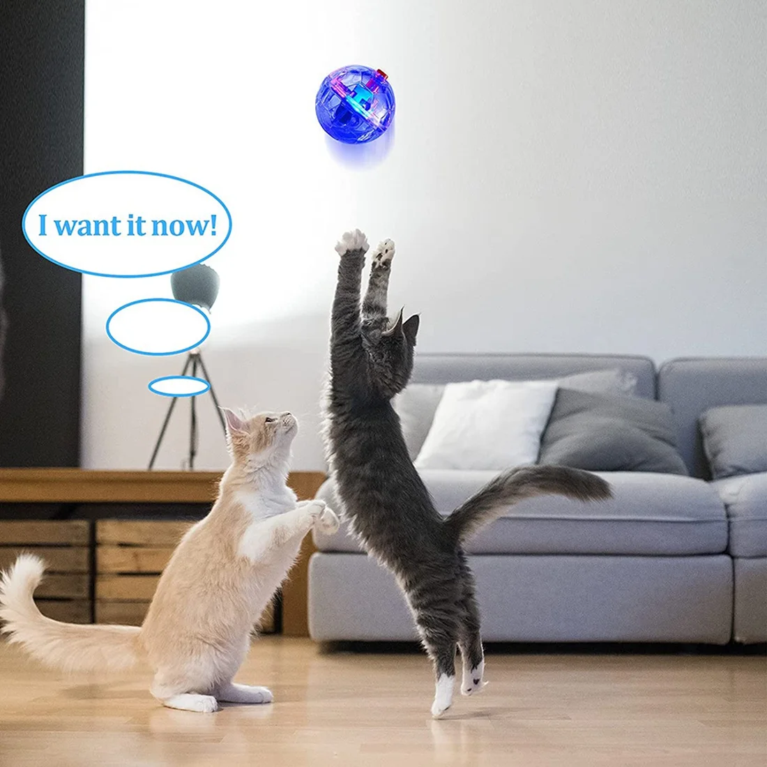 B59A 3Pcs Flash Ball Battery Powered Paranormal Equipment Portable Cat Small Motion Light Up Gift Interactive Pet Toy LED
B59A 3Pcs Flash Ball Battery Powered Paranormal Equipment Portable Cat Small Motion Light Up Gift Interactive Pet Toy LED