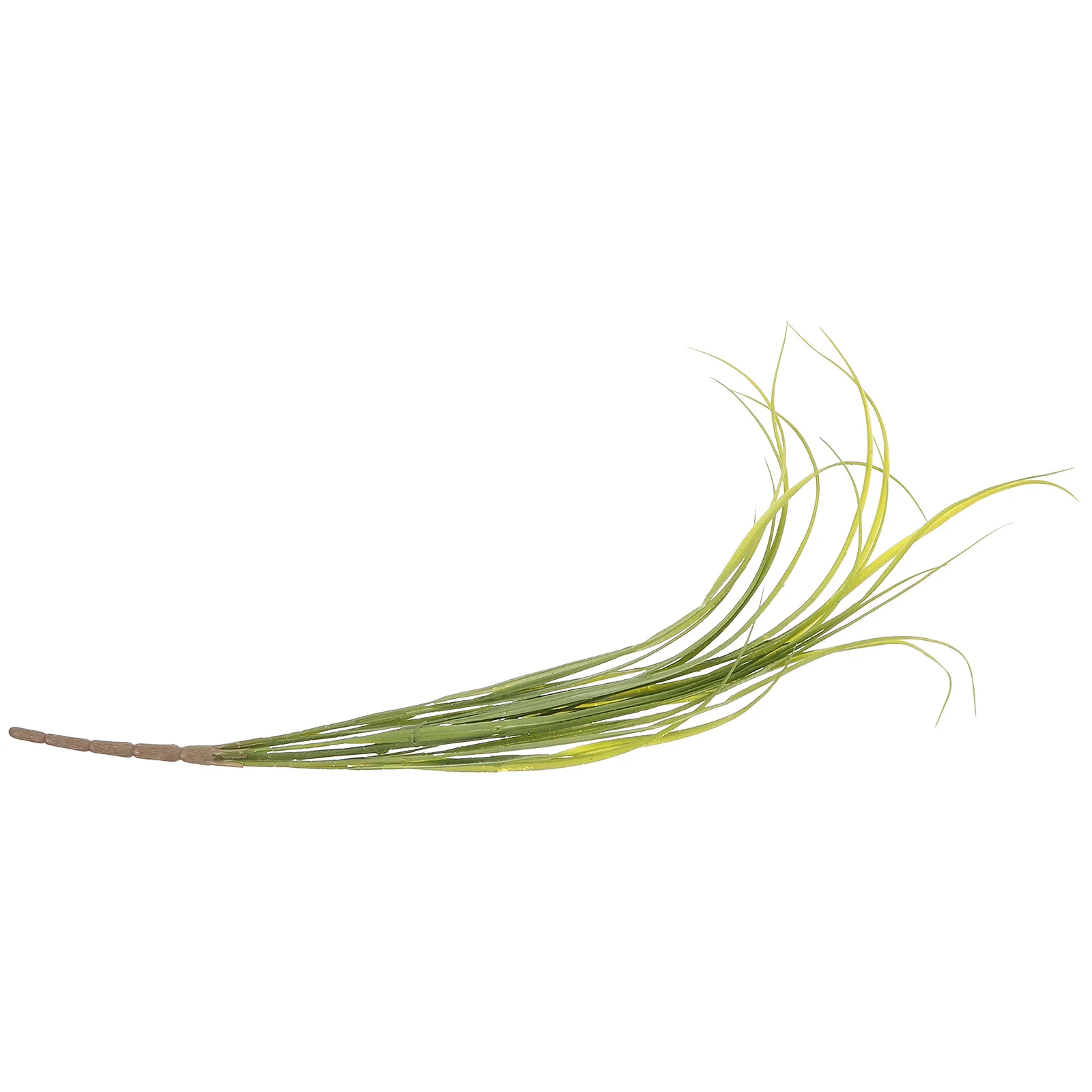 Simulated Orchid Grass Artificial Decor Plastic Bundles Lifelike Appearance Strong DurabilityFake Greenery Stems
Simulated Orchid Grass Artificial Decor Plastic Bundles Lifelike Appearance Strong DurabilityFake Greenery Stems