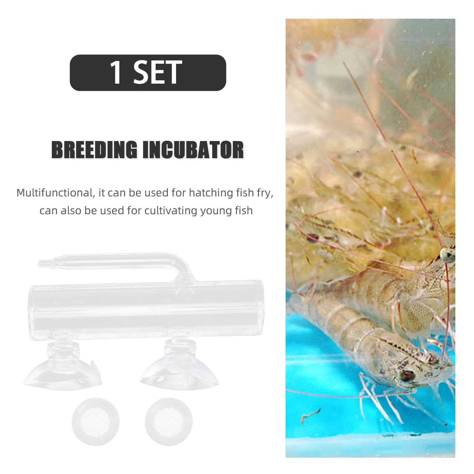 Incubator Fish Tank Egg for Aquarium Fry Tumbler Glass Hatchery Breeding High Borosilicate Betta
Incubator Fish Tank Egg for Aquarium Fry Tumbler Glass Hatchery Breeding High Borosilicate Betta