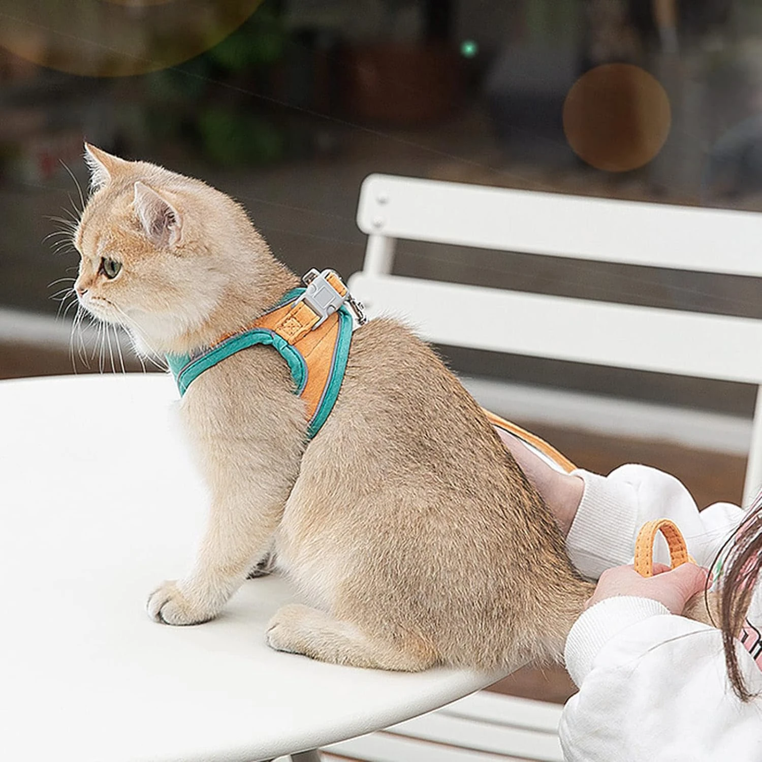 Adjustable and Stylish Secure Small Dogs and Cats Harness Vest and Leash Set for Outdoor Adventures with Reflective Stripes for
Adjustable and Stylish Secure Small Dogs and Cats Harness Vest and Leash Set for Outdoor Adventures with Reflective Stripes for