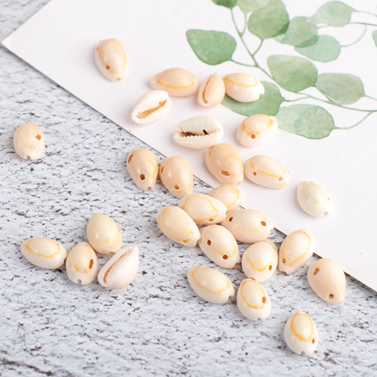 50pcs Shell Pendant Natural Sea Snail Hanging Decoration DIY Necklace Natural Hanging Decoration Earring Charm Unique Safe
50pcs Shell Pendant Natural Sea Snail Hanging Decoration DIY Necklace Natural Hanging Decoration Earring Charm Unique Safe