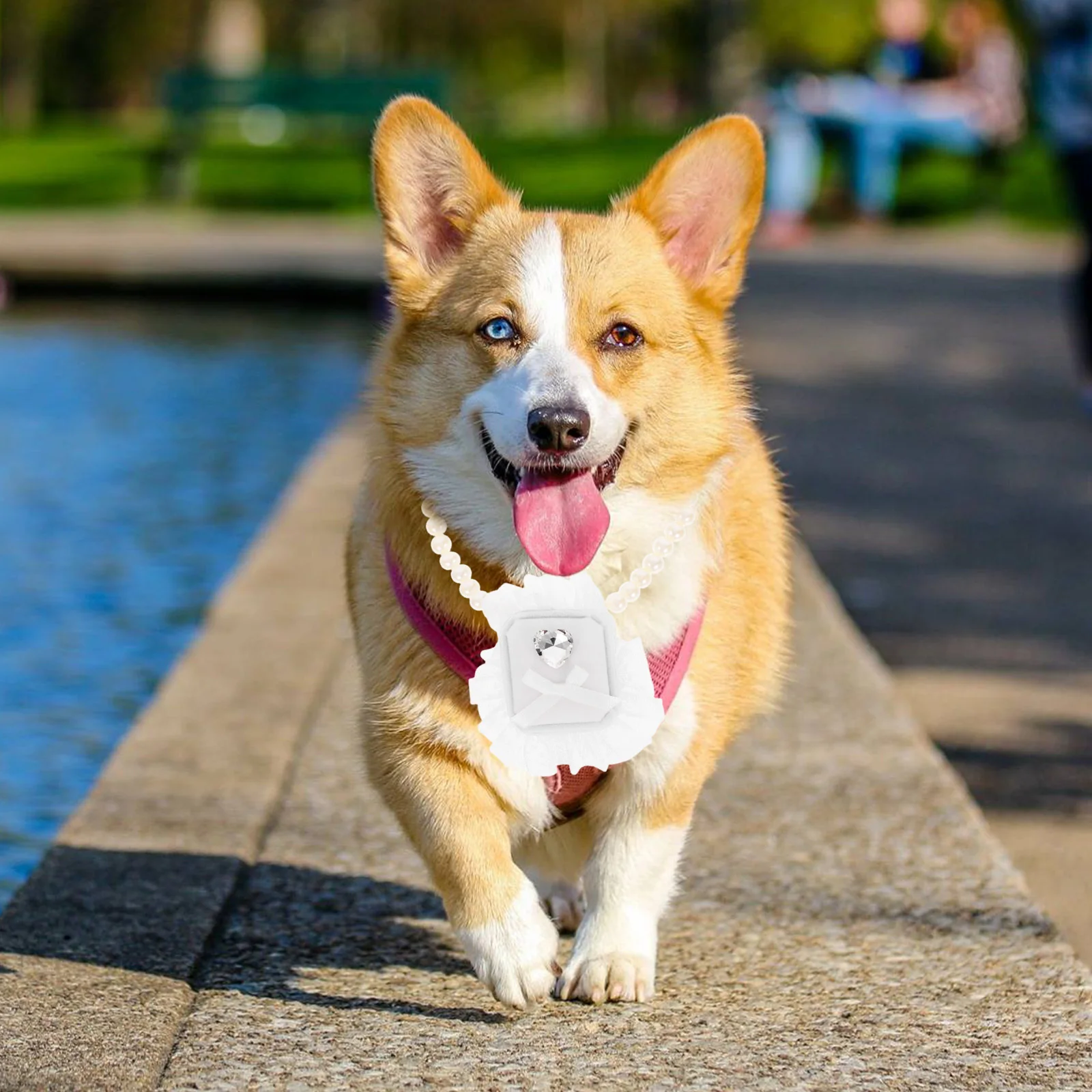 Pearl Dog Collar Necklace Ring Holder Dog Box Wedding Ring Storage Case Pet Engagement Proposal Wedding Jewelry Case
Pearl Dog Collar Necklace Ring Holder Dog Box Wedding Ring Storage Case Pet Engagement Proposal Wedding Jewelry Case