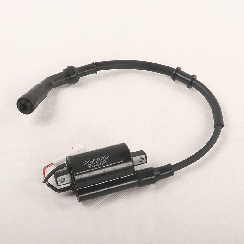 Suitable for Shengshi ZT310-X1-X2-R-T-V Motorcycle Spark Plug High Voltage Package EFI Ignition Coil Fire Nozzle Accessories
Suitable for Shengshi ZT310-X1-X2-R-T-V Motorcycle Spark Plug High Voltage Package EFI Ignition Coil Fire Nozzle Accessories