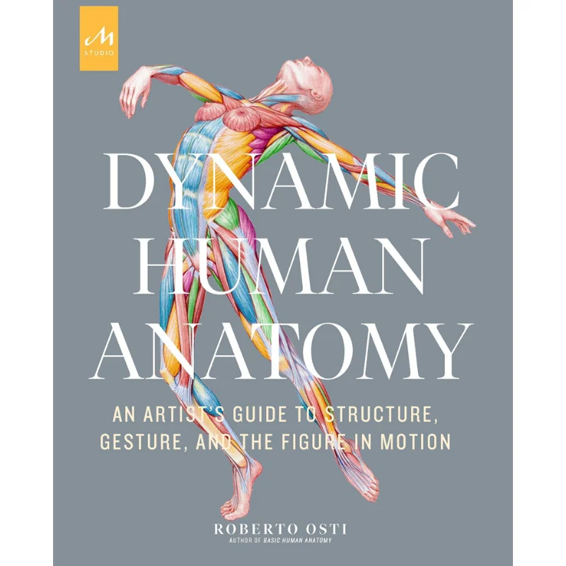 Dynamic Human Anatomy Roberto Osti Monacelli Press 9781580935517 Book
Dynamic Human Anatomy Roberto Osti Monacelli Press 9781580935517 Book