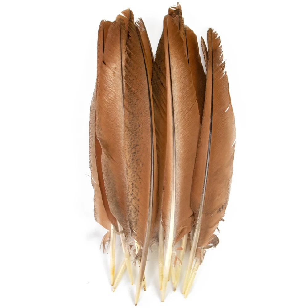 Natural Peacock Feathers 50-1000pcs Yellow Wings Bulk Plume Wholesale for Wedding Party Dress DIY Craft Hat Headpiece Photo Prop
Natural Peacock Feathers 50-1000pcs Yellow Wings Bulk Plume Wholesale for Wedding Party Dress DIY Craft Hat Headpiece Photo Prop