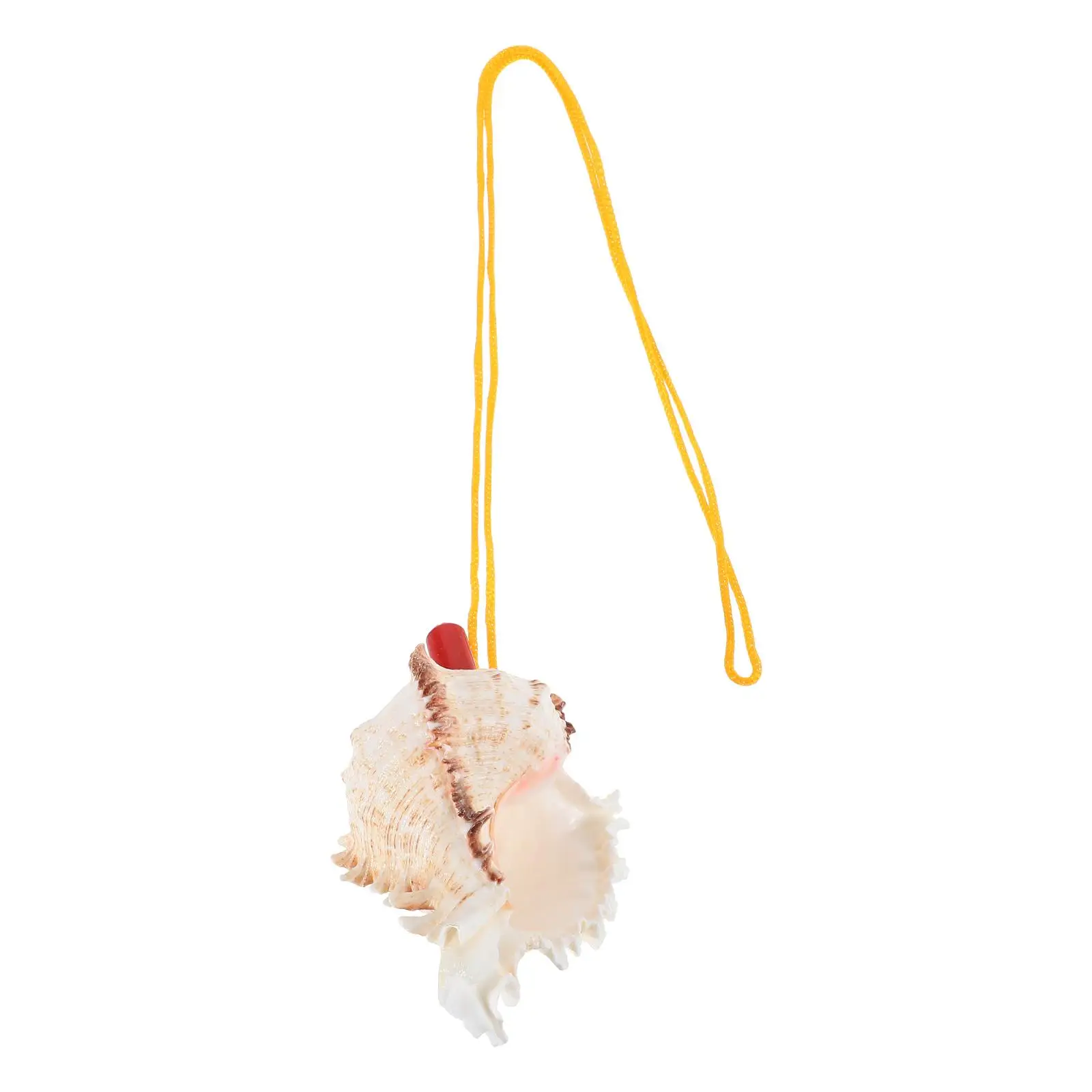 Natural Conch Shell Whistle 9-10CM Musical Instrument Unique Sound Beach Decor Wedding Party Sea Shell Vase Filler Horn Blowing
Natural Conch Shell Whistle 9-10CM Musical Instrument Unique Sound Beach Decor Wedding Party Sea Shell Vase Filler Horn Blowing