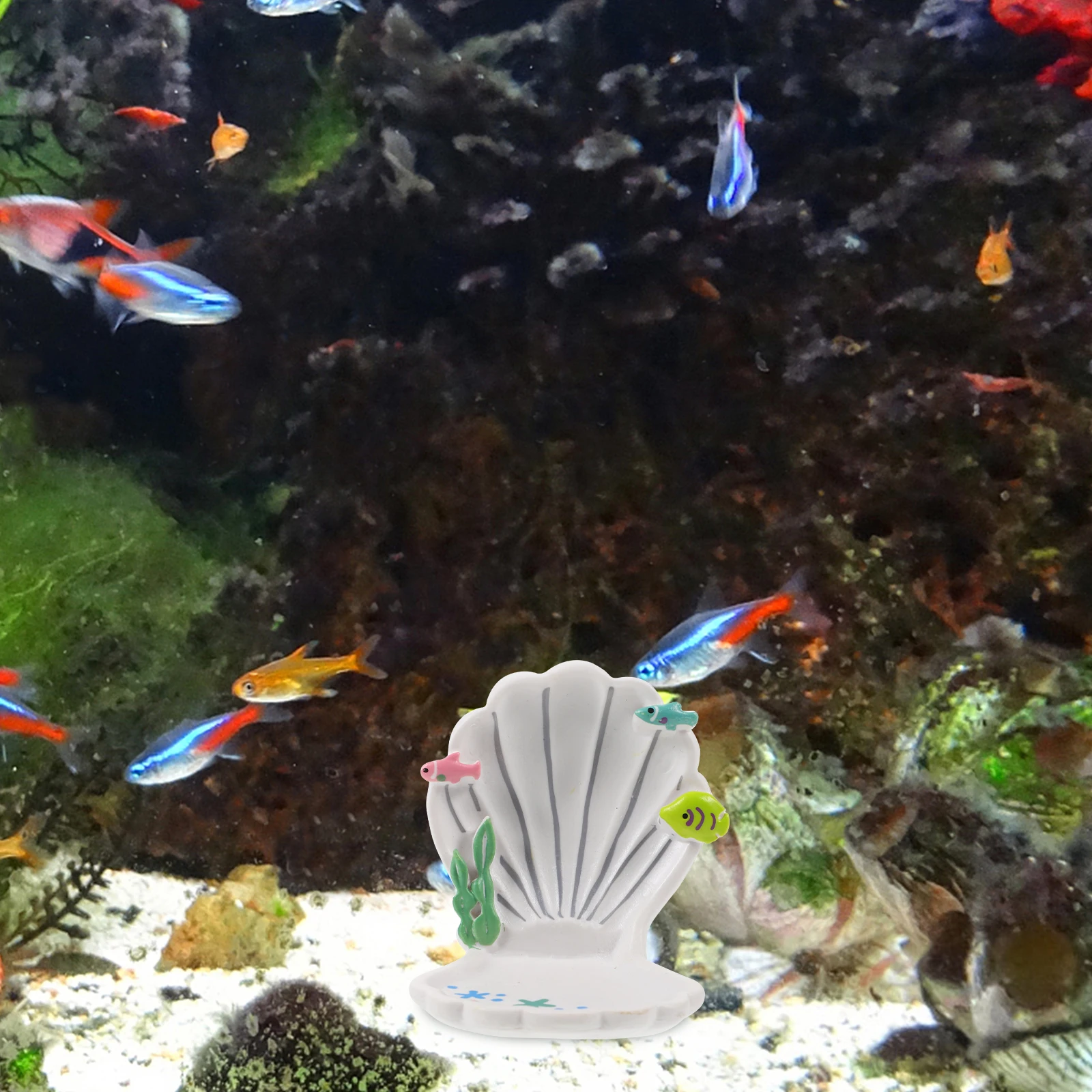 Resin Shell Crafts Realistic Fish Tank Decor Aquarium naments Enhance Shelter Lifelike Placement Pets Supplies
Resin Shell Crafts Realistic Fish Tank Decor Aquarium naments Enhance Shelter Lifelike Placement Pets Supplies