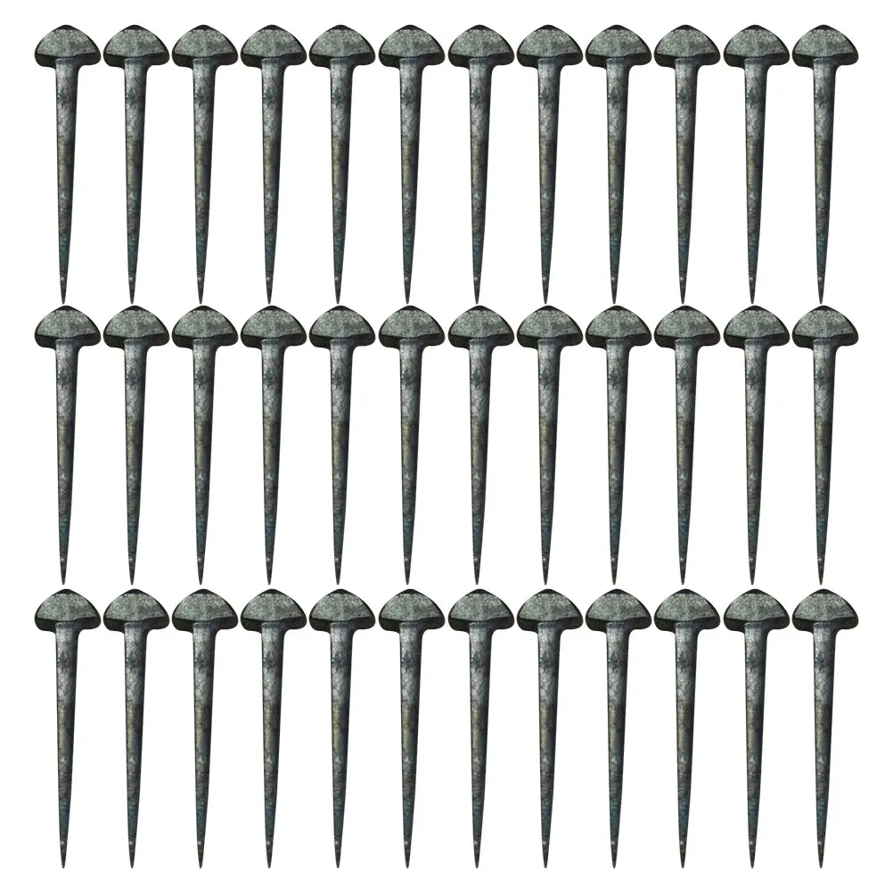 50 Pcs Replaceable Horseshoe Nail Care Equipment Iron Horseshoes Accessories for Real
50 Pcs Replaceable Horseshoe Nail Care Equipment Iron Horseshoes Accessories for Real