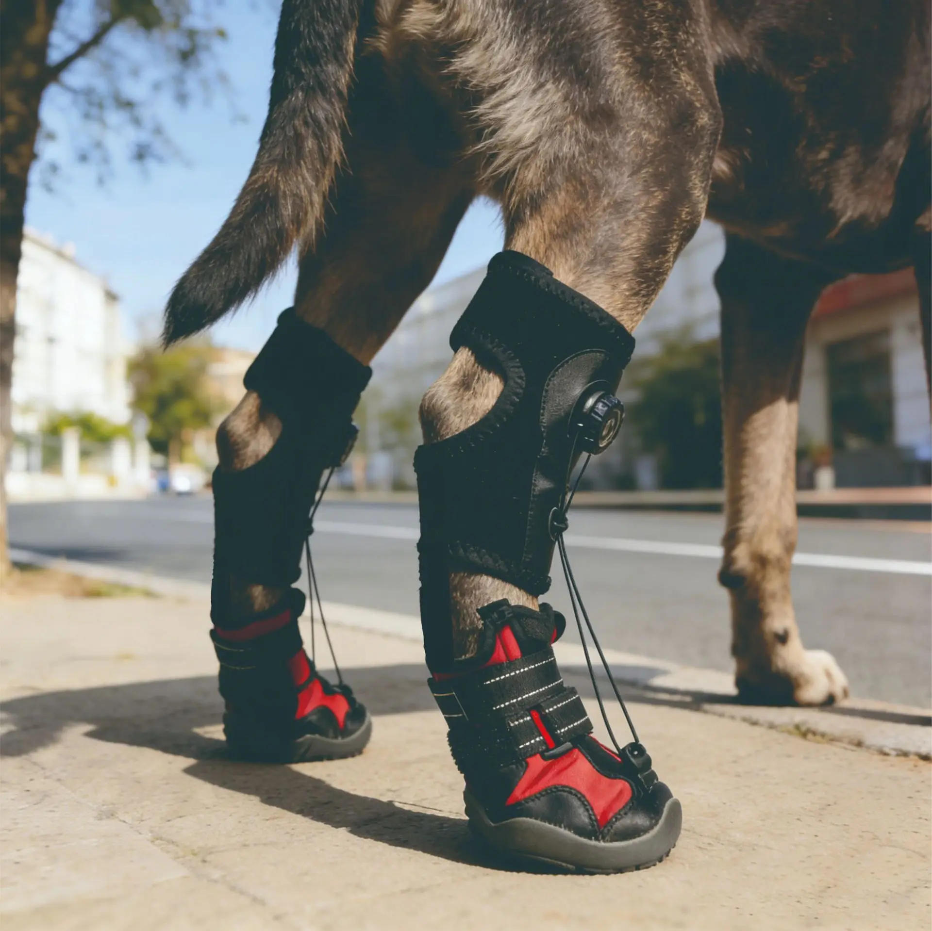 Dog Shoes Anti Dirt Anti Drop Wear Resistant Hard Sole Dog Foot Brace Non Slip Paw Protector Boots For Outdoor Walking Adventure
Dog Shoes Anti Dirt Anti Drop Wear Resistant Hard Sole Dog Foot Brace Non Slip Paw Protector Boots For Outdoor Walking Adventure