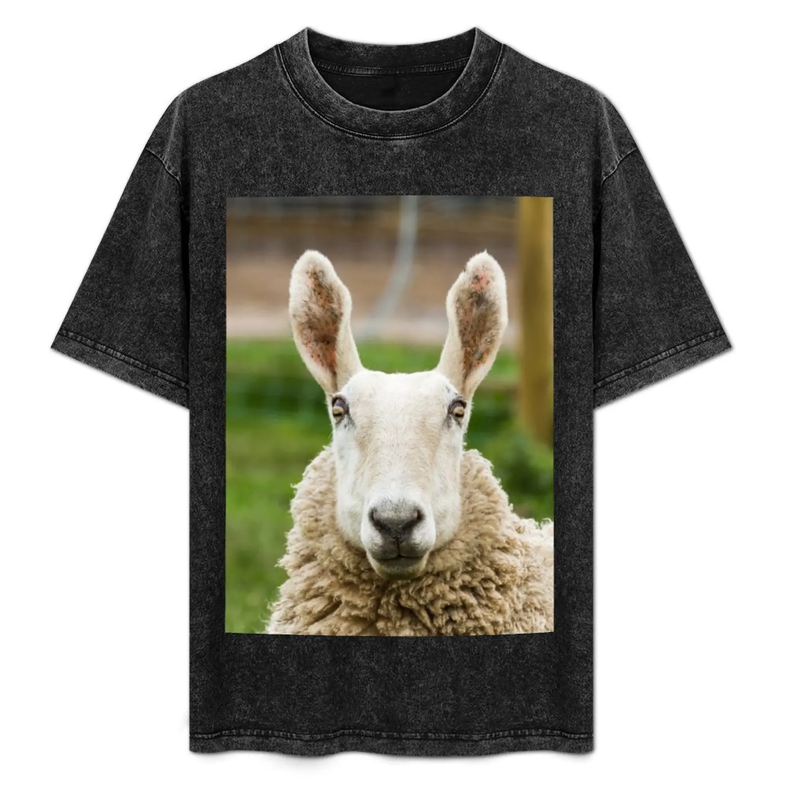 Rabbit Eared Sheep T-Shirt Casual Loose Fit Summer Tee Shirt
Rabbit Eared Sheep T-Shirt Casual Loose Fit Summer Tee Shirt