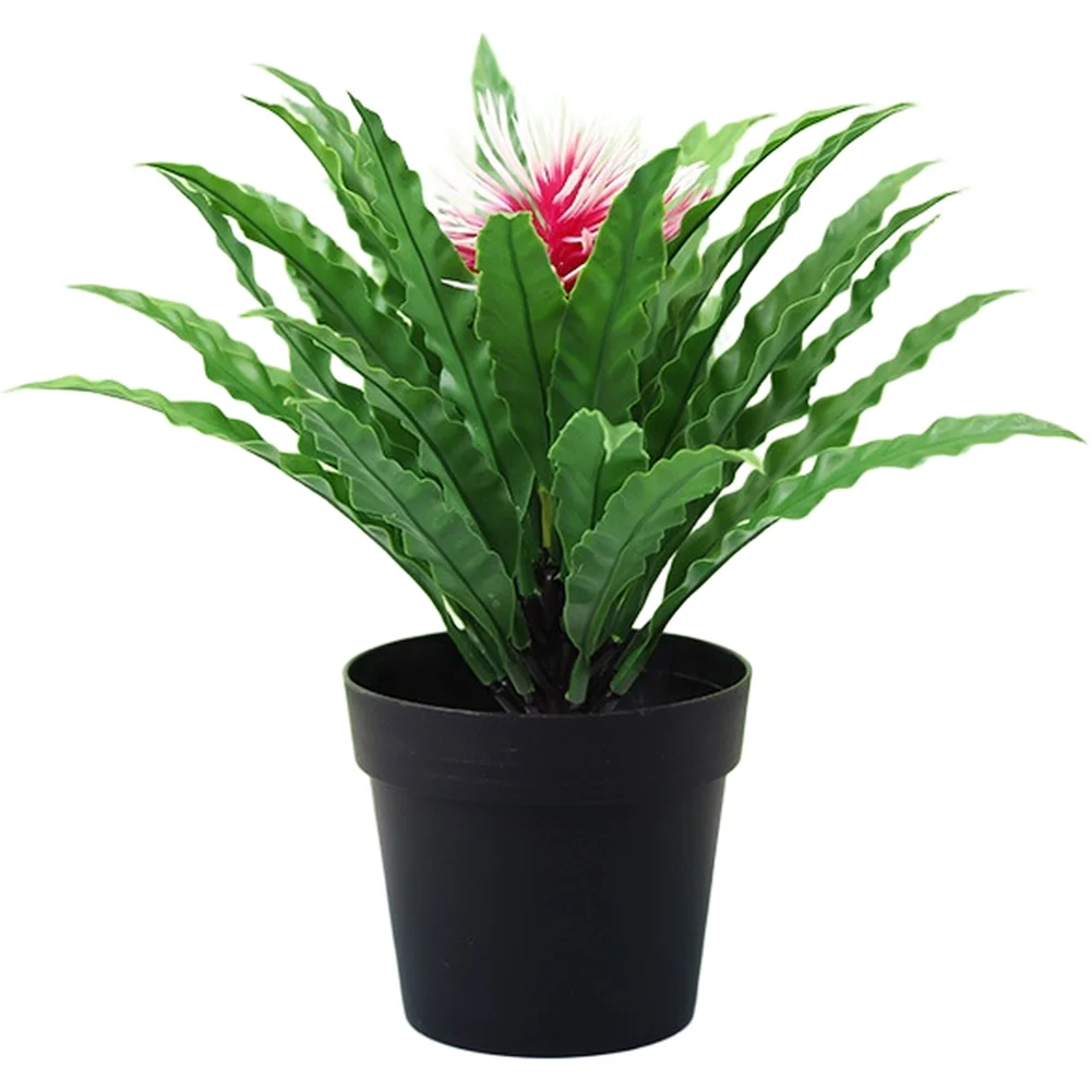 Plastic Artificial Bonsai for For FERN Look Decor For Home Office Tabletop Greenery Decoration 22cm H x 15cm W
Plastic Artificial Bonsai for For FERN Look Decor For Home Office Tabletop Greenery Decoration 22cm H x 15cm W