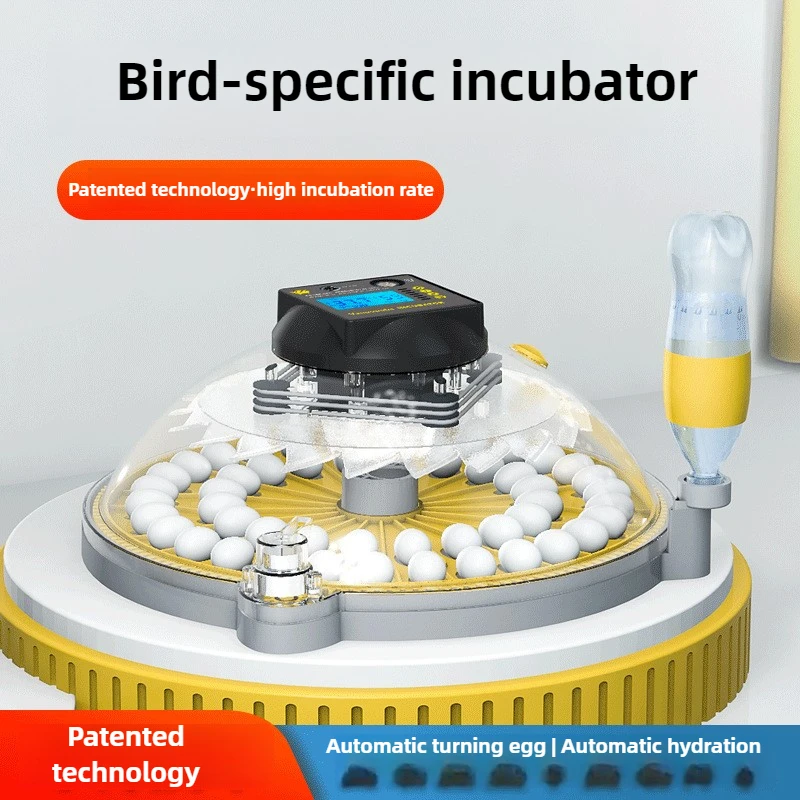 122 Bird Eggs Rutin-containing Chicken Egg Incubator Automatic Dual-power Intelligent Breeding Incubator Household Egg Incubator
122 Bird Eggs Rutin-containing Chicken Egg Incubator Automatic Dual-power Intelligent Breeding Incubator Household Egg Incubator