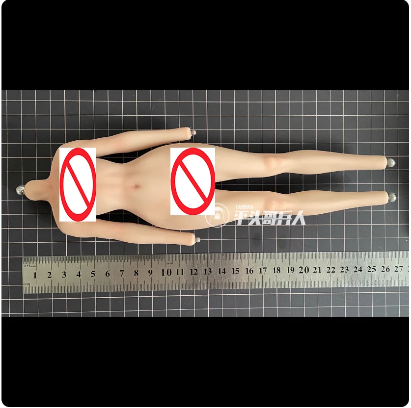 YYDS Verycool VCD01 1/6 Female Soldier Whitening Natural Skin Detachable Foot Body Model Toy In Stock
YYDS Verycool VCD01 1/6 Female Soldier Whitening Natural Skin Detachable Foot Body Model Toy In Stock