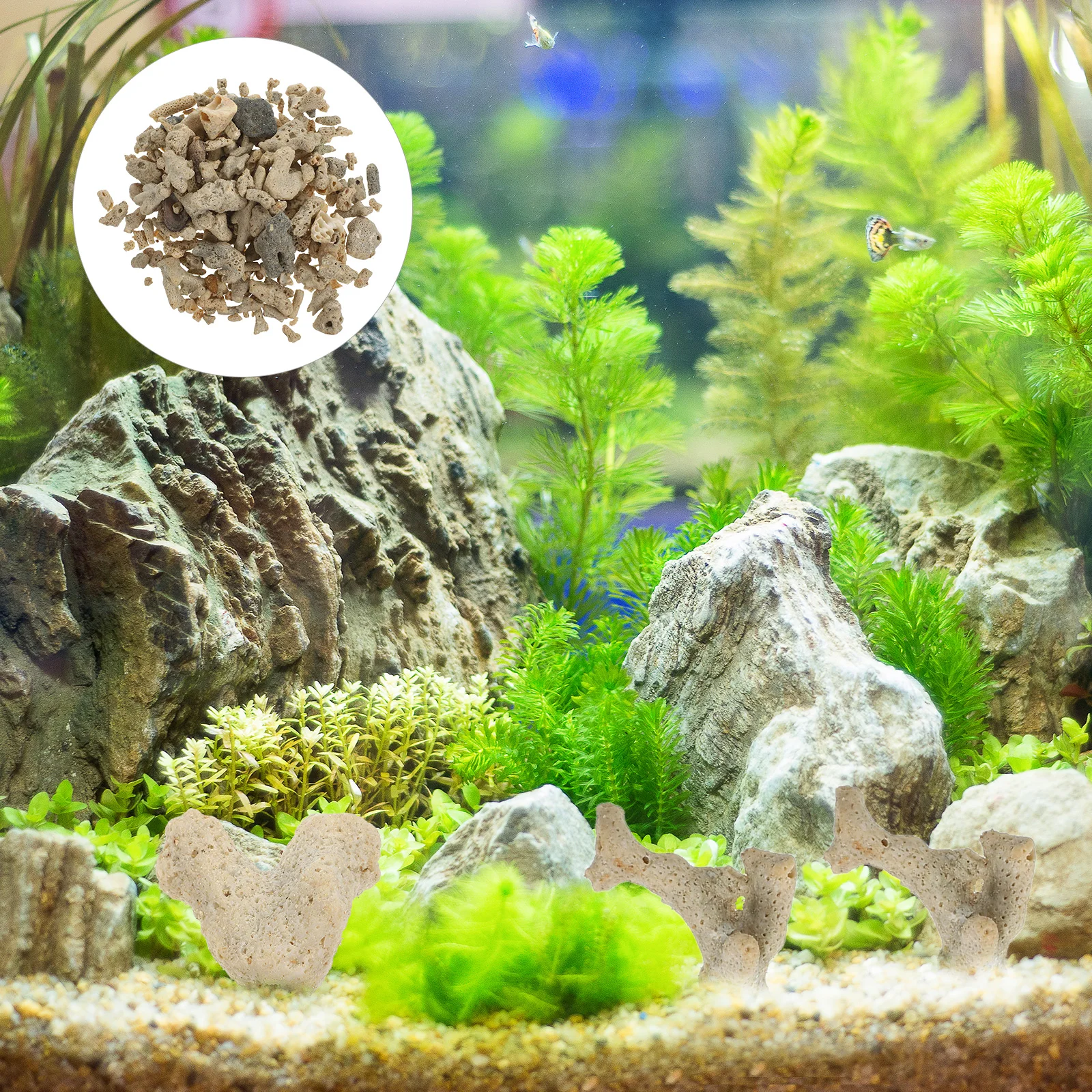 Aquarium Sand Rocks Décor Carbonate for Accessories Tropical Fish Tank Landscaping Ornaments
Aquarium Sand Rocks Décor Carbonate for Accessories Tropical Fish Tank Landscaping Ornaments