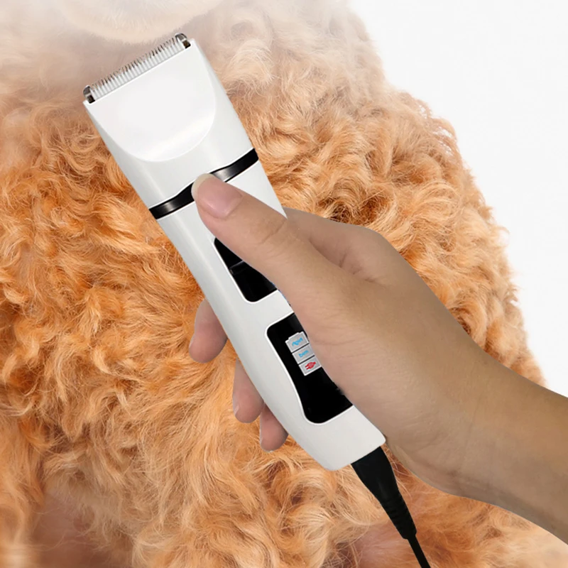 Professional USB Rechargeable Dog Hair Trimmer Set Quiet Pet Hair Shaver with Sustainable Iron and Plastic Materials
Professional USB Rechargeable Dog Hair Trimmer Set Quiet Pet Hair Shaver with Sustainable Iron and Plastic Materials