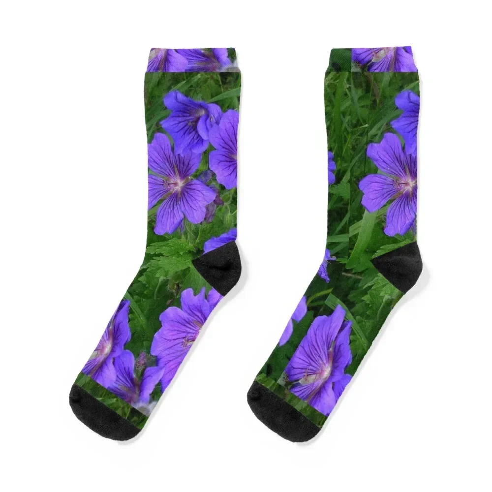 Носки Geranium Rozanne с принтом, носки для тенниса и альпинизма, мужские и женские
Носки Geranium Rozanne с принтом, носки для тенниса и альпинизма, мужские и женские