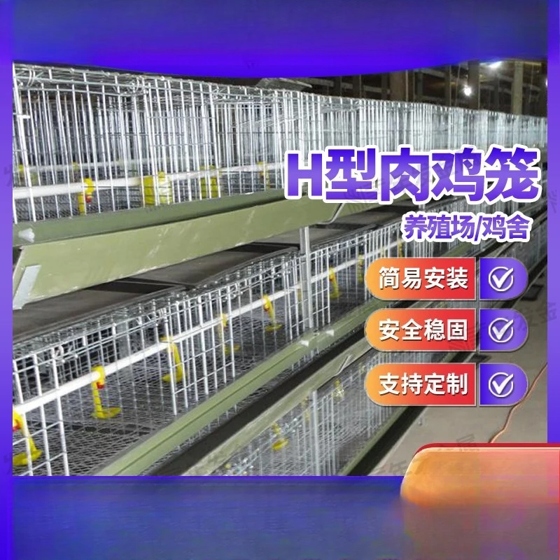 Large-scale Breeding Chicken Coop Broiler Cage Automatic Feeding Breeding Galvanized Chicken Cage Stepped Equipment
Large-scale Breeding Chicken Coop Broiler Cage Automatic Feeding Breeding Galvanized Chicken Cage Stepped Equipment