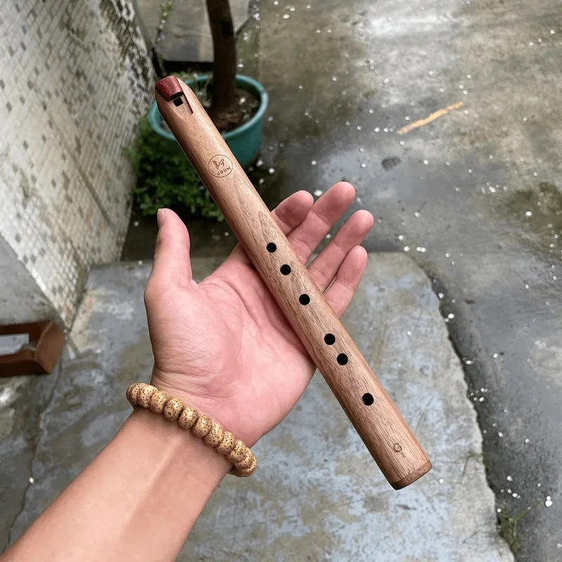 Portable Short Flute Wooden Flutes G Tone Chinese Professional Piccolo Wind Instruments Adults Music Instruments Musical Tools
Portable Short Flute Wooden Flutes G Tone Chinese Professional Piccolo Wind Instruments Adults Music Instruments Musical Tools