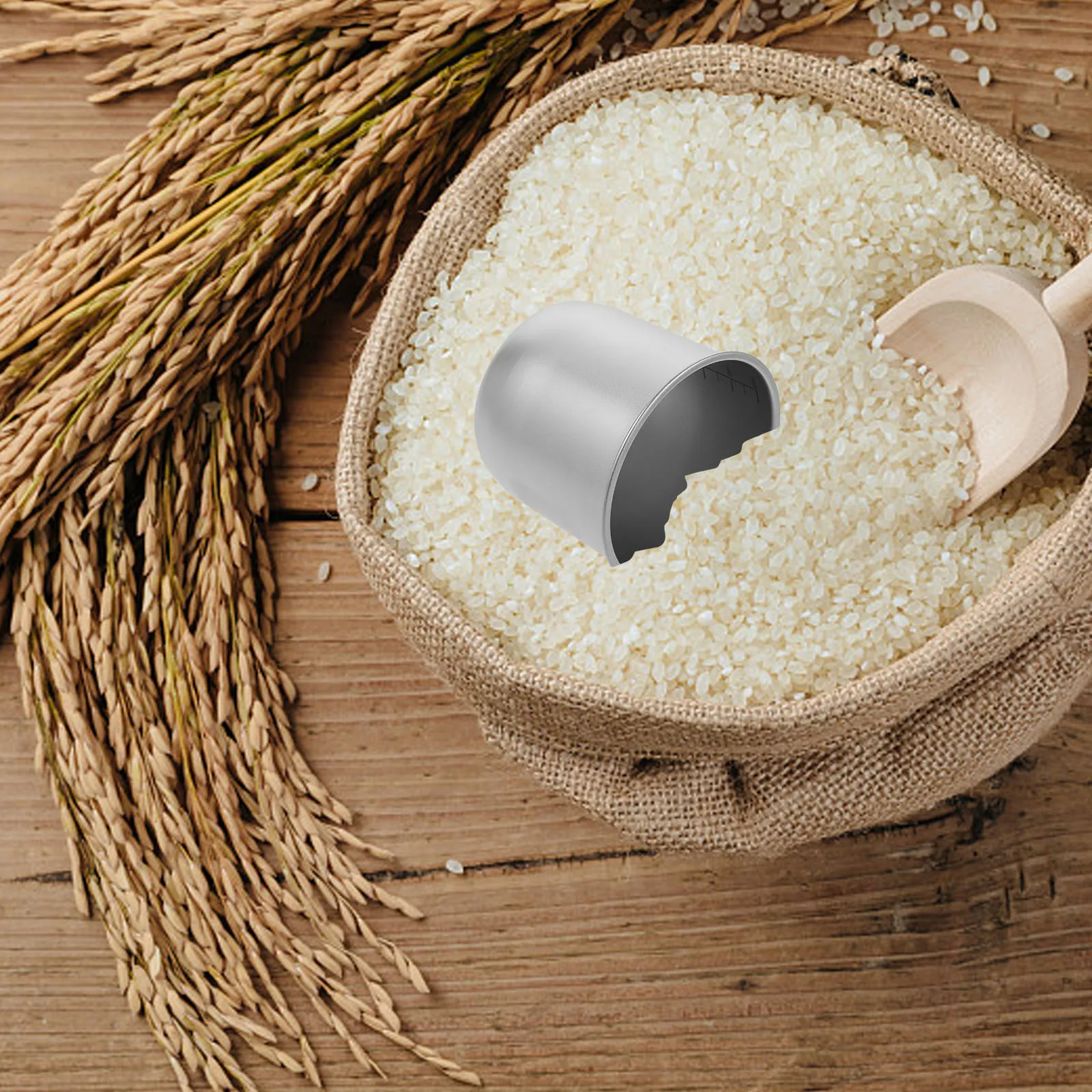 Stainless Steel Measuring Cup With Clear Scale Graduated Kitchen Tool For Rice Flour Baking Milk Syrup Food-Friendly
Stainless Steel Measuring Cup With Clear Scale Graduated Kitchen Tool For Rice Flour Baking Milk Syrup Food-Friendly