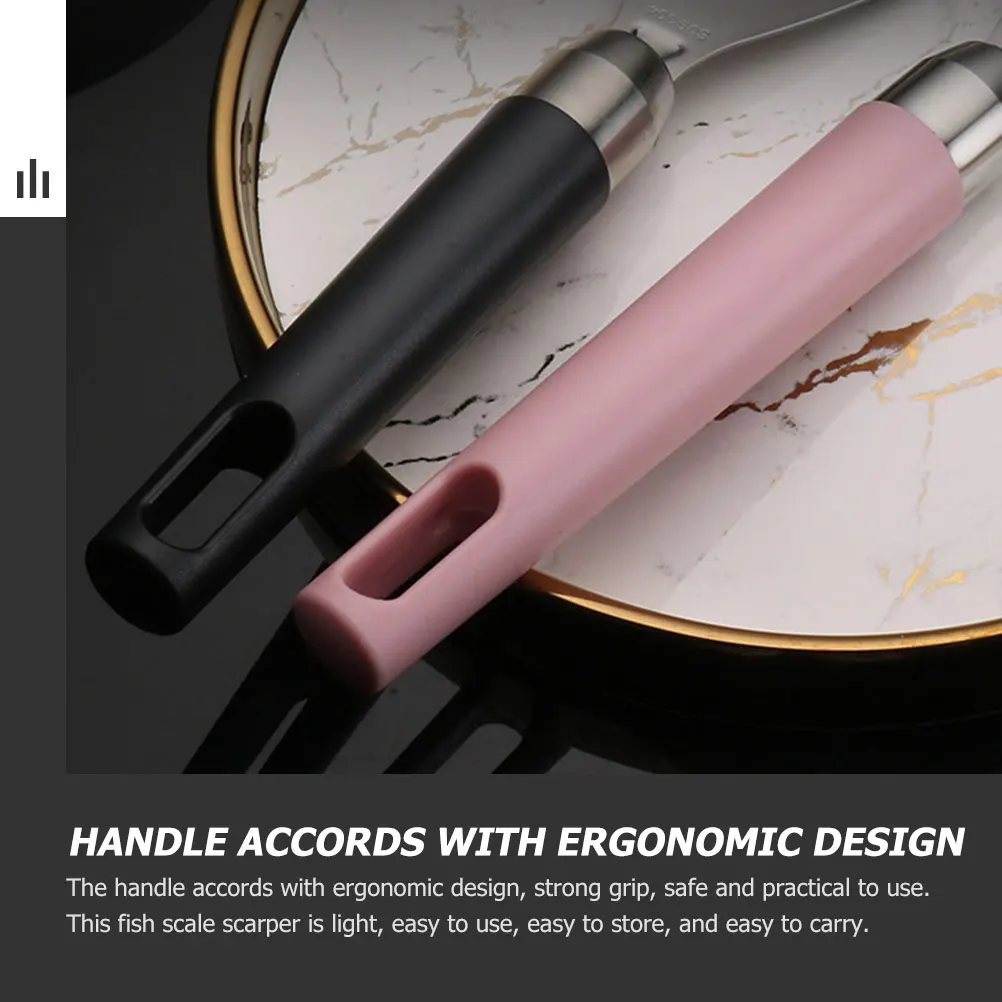 Practical Fish Scaler Stainless Steel Cleaning Tool Ergonomic Handle Restaurant Scraper Seafood Utensil
Practical Fish Scaler Stainless Steel Cleaning Tool Ergonomic Handle Restaurant Scraper Seafood Utensil