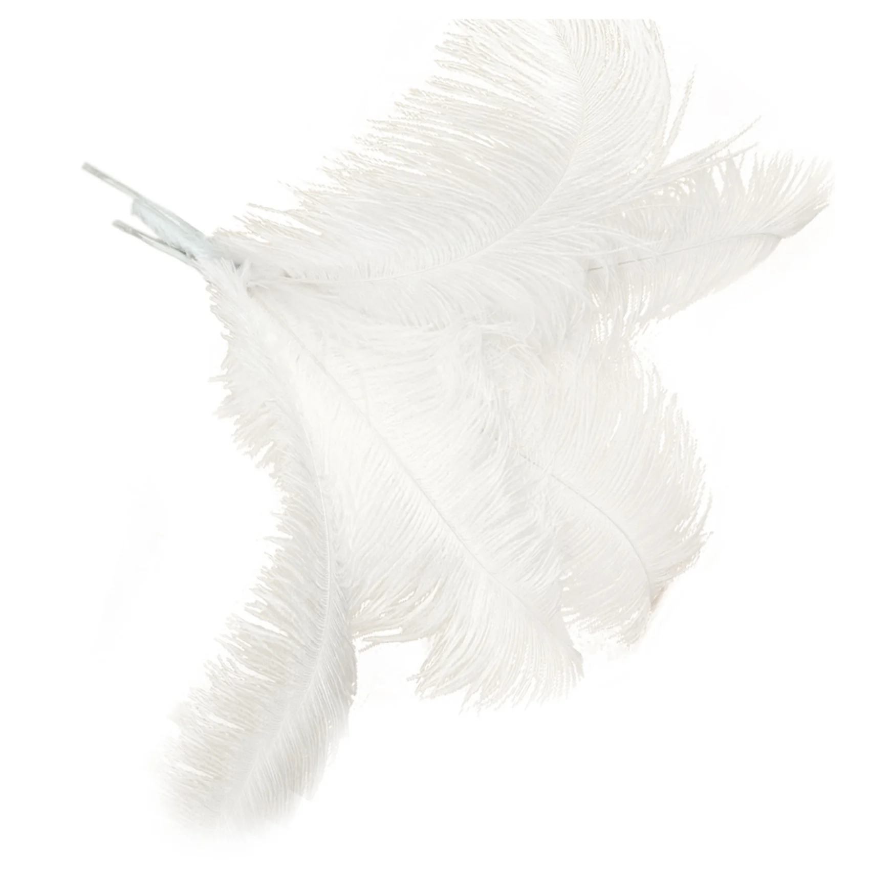 BHBD-40 Pcs Natural Ostrich Feathers Wedding Party Decoration White 45-50Cm
BHBD-40 Pcs Natural Ostrich Feathers Wedding Party Decoration White 45-50Cm