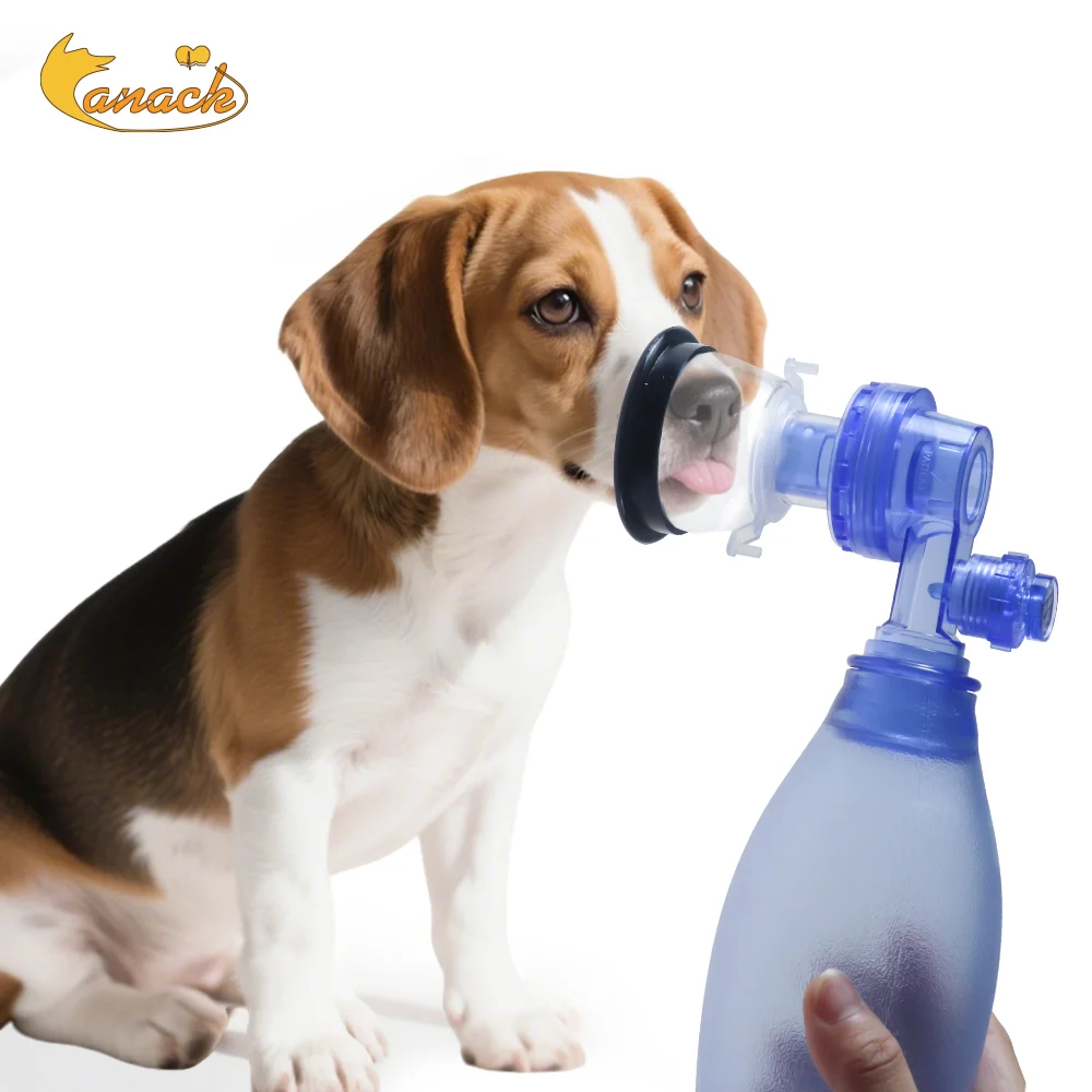 First Aid Manual Resuscitator Portable PVC CPR Emergency Device For Cat Dogs Animal Rescue Tool Veterinary Equipment Vet Clinic
First Aid Manual Resuscitator Portable PVC CPR Emergency Device For Cat Dogs Animal Rescue Tool Veterinary Equipment Vet Clinic