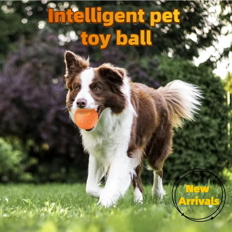 Rechargeable Cat Toy Creative Intelligent Cat Teasing Ball Led Illuminated Pet Toy Ball Anti Bite Elastic Ball Pet Supplies
Rechargeable Cat Toy Creative Intelligent Cat Teasing Ball Led Illuminated Pet Toy Ball Anti Bite Elastic Ball Pet Supplies