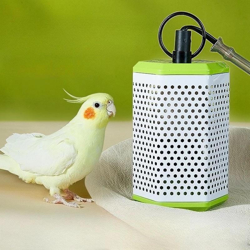 Нагревательная лампа для попугая, керамический контроль температуры, клетка для попугая, термостатическая лампа без света, тепловая лампа для птичьего гнезда, нагреватель для террариума
Нагревательная лампа для попугая, керамический контроль температуры, клетка для попугая, термостатическая лампа без света, тепловая лампа для птичьего гнезда, нагреватель для террариума