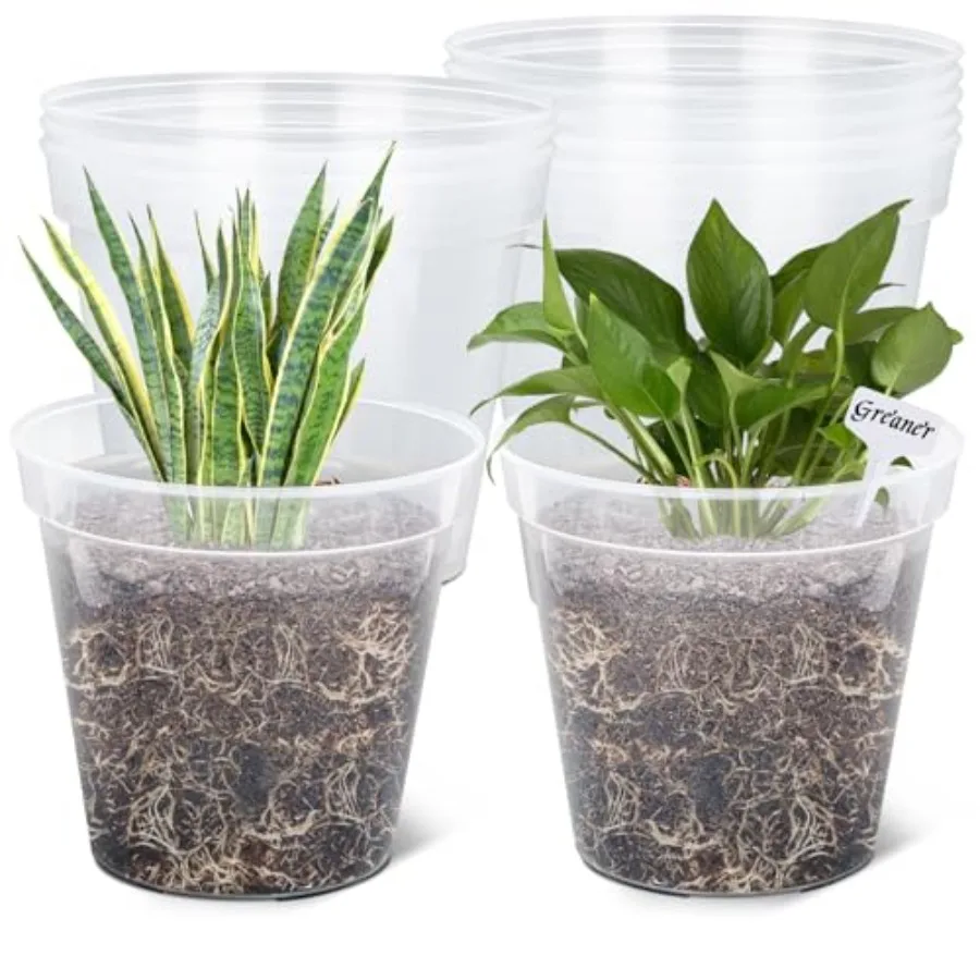 Nursery application: clear reinforced plastic pots, transparent, high transparency for flowers, seeds, succulents, vegetablesin
Nursery application: clear reinforced plastic pots, transparent, high transparency for flowers, seeds, succulents, vegetablesin