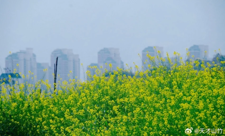 Передние и задние металлические рычаги для радиоуправляемых машин Hyper GO MJX 1/10 10303 10304, запчасти для тюнинга и модернизации
Передние и задние металлические рычаги для радиоуправляемых машин Hyper GO MJX 1/10 10303 10304, запчасти для тюнинга и модернизации