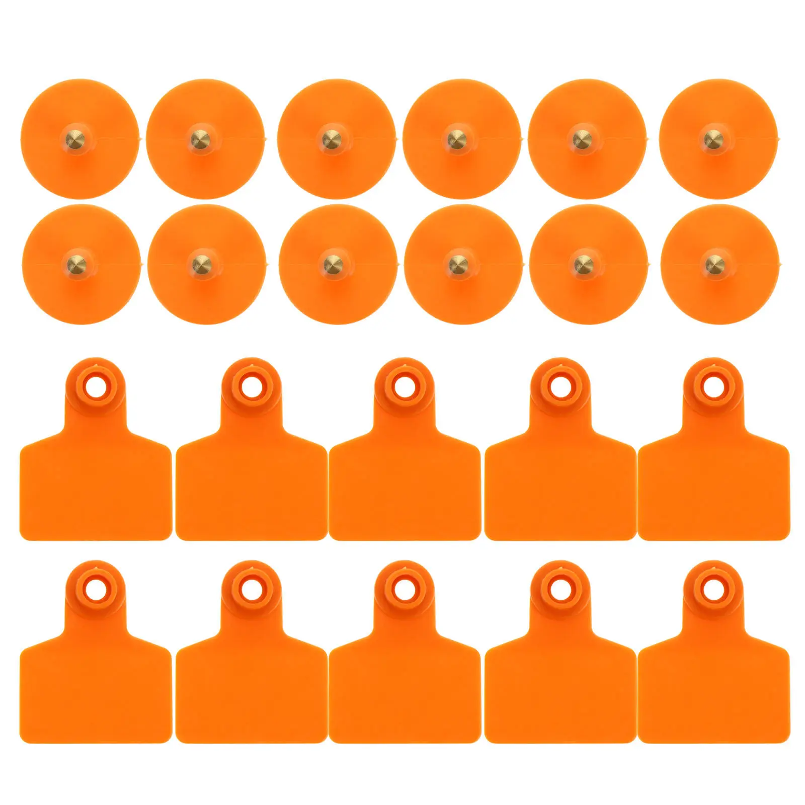 100 шт. ушных бирок для свиней из ТПУ, идентификационные бирки для скота, овец, лошадей, для управления животноводческими хозяйствами, с медной головкой, нержавеющие, прочные
100 шт. ушных бирок для свиней из ТПУ, идентификационные бирки для скота, овец, лошадей, для управления животноводческими хозяйствами, с медной головкой, нержавеющие, прочные