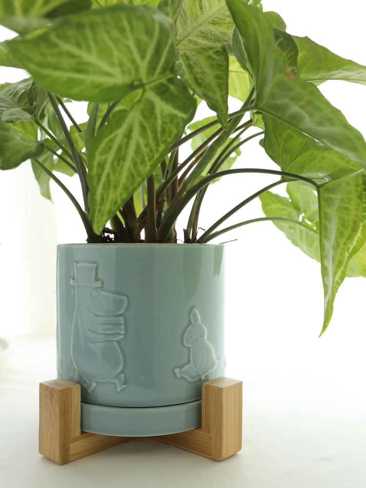MUSe Garden Cerc Flower Pot with Water Tray Original Box Wood Tray Cute Home Decorations Fake Flowers Not Included
MUSe Garden Cerc Flower Pot with Water Tray Original Box Wood Tray Cute Home Decorations Fake Flowers Not Included