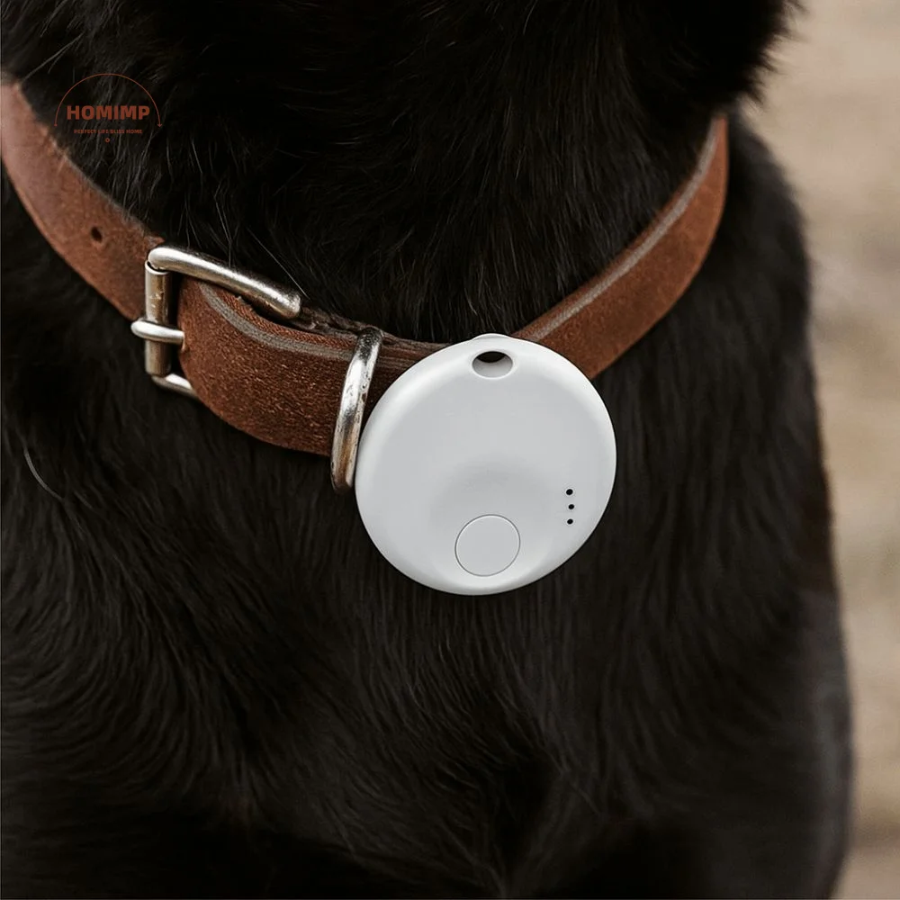 Mini Pet Smart GPS Tracker Wireless Message Reminder Dog Bluetooth Tracker Anti-lose Waterproof Find My Device Tracker
Mini Pet Smart GPS Tracker Wireless Message Reminder Dog Bluetooth Tracker Anti-lose Waterproof Find My Device Tracker