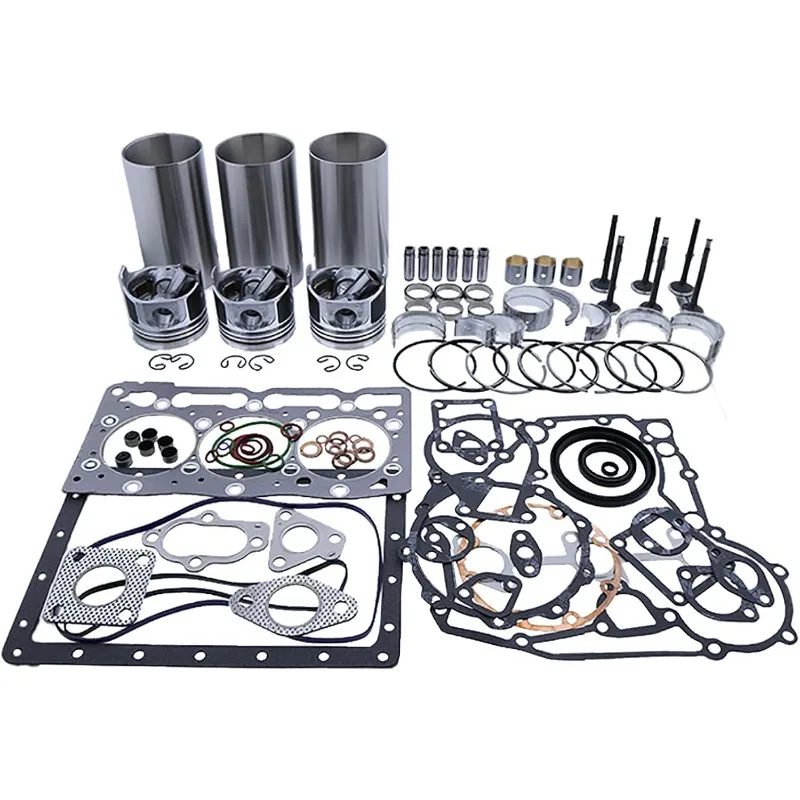 STD D1305 Overhaul Rebuild Kit Compatible for Kubota D1305 Engine R1-261 Replacement
STD D1305 Overhaul Rebuild Kit Compatible for Kubota D1305 Engine R1-261 Replacement