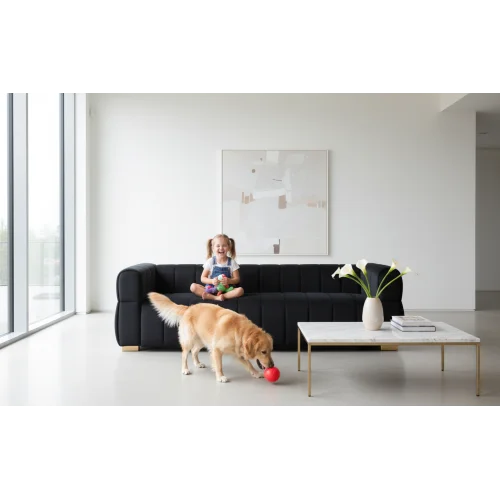 #Velvet Convertible Sofa Set With Tufted Design Modern 3 Seater For Living Rooms Wide Easy Assembly
#Velvet Convertible Sofa Set With Tufted Design Modern 3 Seater For Living Rooms Wide Easy Assembly