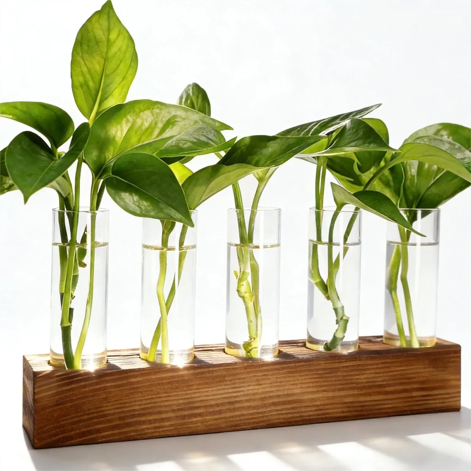 Plant Propagation Station with Wooden Stand, 5 Glass Test Tubes for Hydroponics, Indoor Gardening Gifts for Women Plant Lovers
Plant Propagation Station with Wooden Stand, 5 Glass Test Tubes for Hydroponics, Indoor Gardening Gifts for Women Plant Lovers