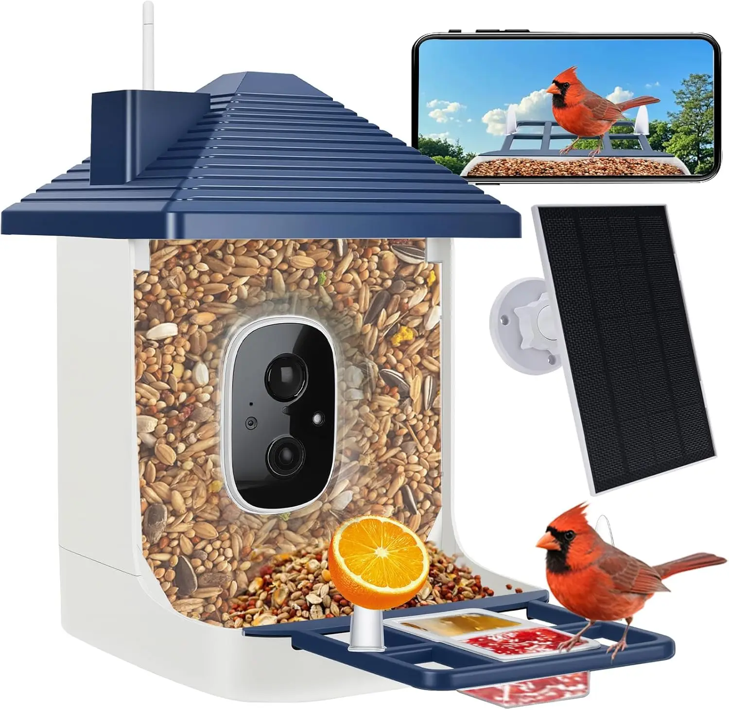 Smart Bird Feeder with Camera, AI Species ID, Solar Powered, 2K HD Video, Instant Alerts, Gift for Bird Lovers (Indigo Blue)
Smart Bird Feeder with Camera, AI Species ID, Solar Powered, 2K HD Video, Instant Alerts, Gift for Bird Lovers (Indigo Blue)