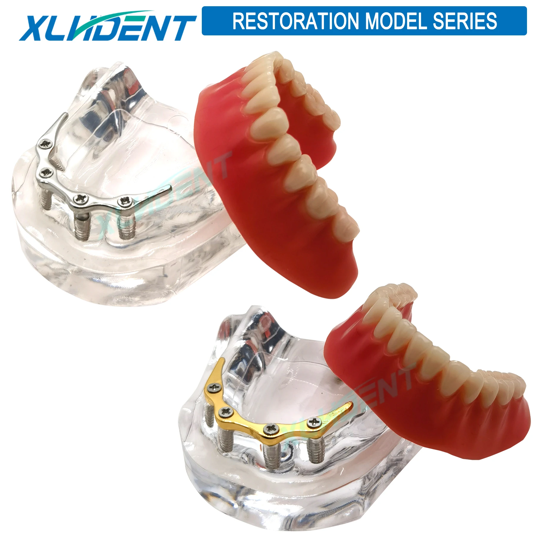 Dental Teeth Model with Implant Overdenture Inferior Demo Mandibular Model Dentist Student Learning training Model
Dental Teeth Model with Implant Overdenture Inferior Demo Mandibular Model Dentist Student Learning training Model