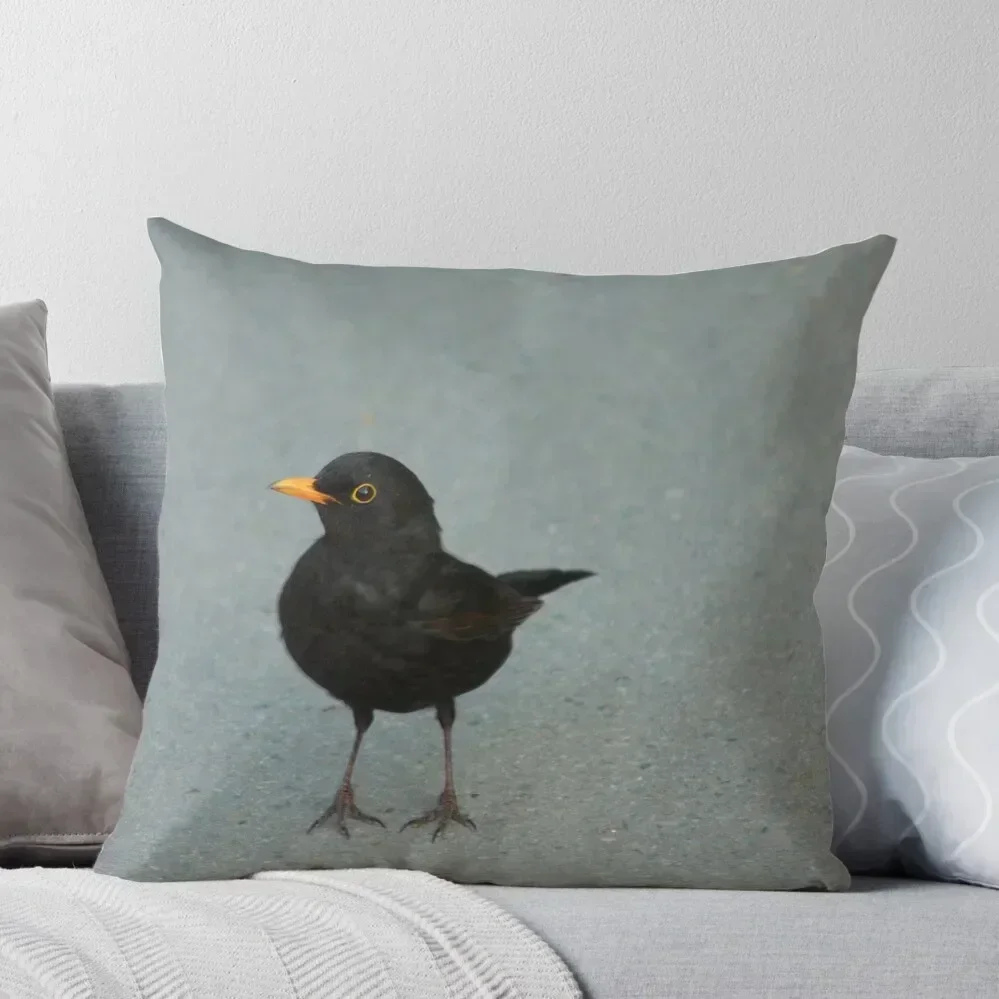 common blackbird Throw Pillow Pillowcases For Pillows Custom Cushion Photo Couch Cushions pillow
common blackbird Throw Pillow Pillowcases For Pillows Custom Cushion Photo Couch Cushions pillow