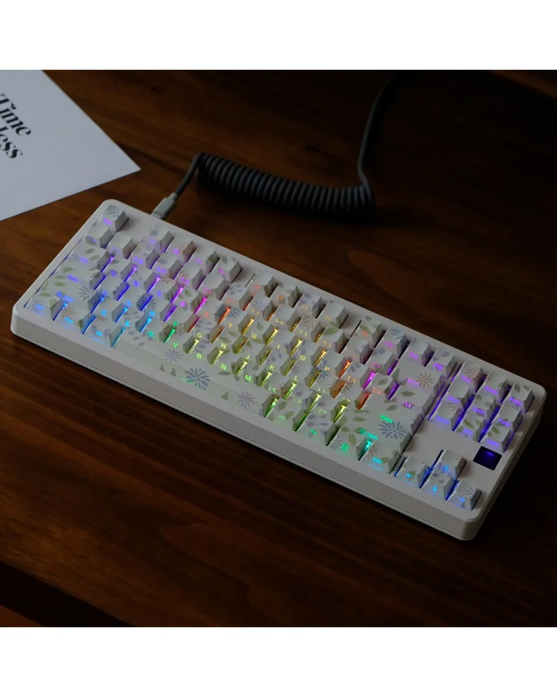 Keycaps PBT Original Height, Sublimation, Mechanical Keyboard Caps Wooting Mega Lion
Keycaps PBT Original Height, Sublimation, Mechanical Keyboard Caps Wooting Mega Lion