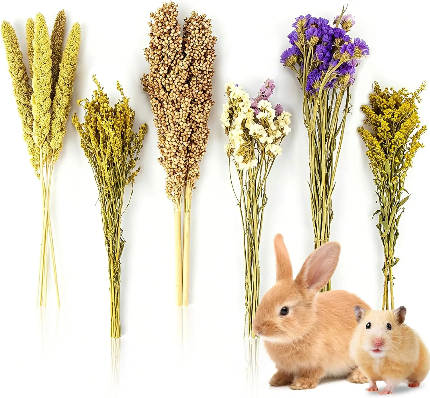 Natural Dried Plant Sprays for Small Pet Cage Bedding, Foraging Habitat Decor, Hideout Enrichment for Hamsters, Gerbils, Mice
Natural Dried Plant Sprays for Small Pet Cage Bedding, Foraging Habitat Decor, Hideout Enrichment for Hamsters, Gerbils, Mice