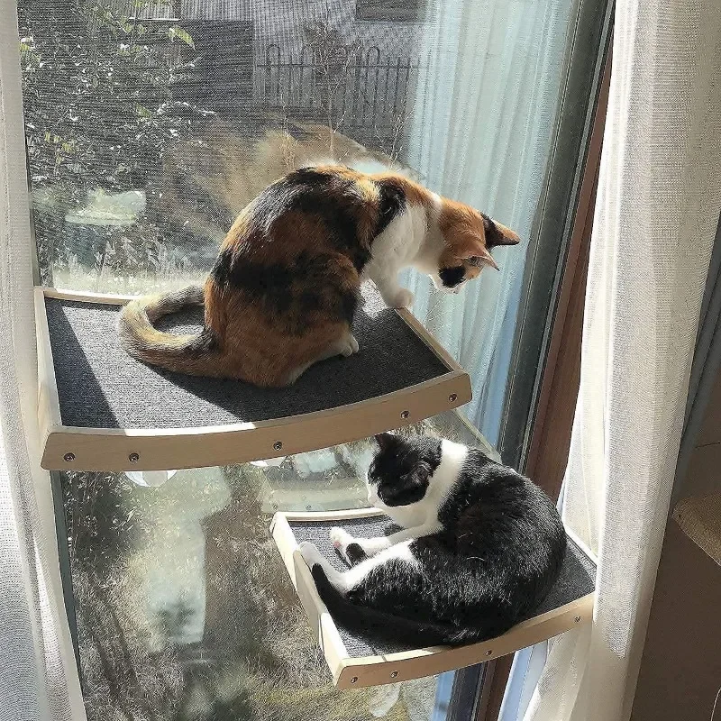 Товары для домашних животных, каркас для лазанья для кошек из цельного дерева, прочная несущая способность, платформа для прыжков с кошками, настенная присоска
Товары для домашних животных, каркас для лазанья для кошек из цельного дерева, прочная несущая способность, платформа для прыжков с кошками, настенная присоска