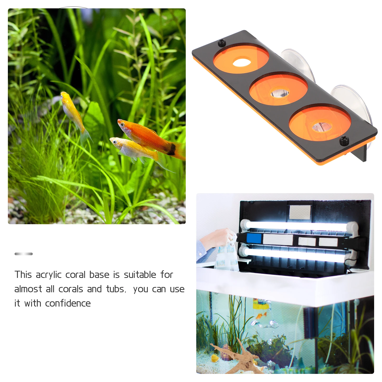 Rack for Suction Cup Acrylic Support Base Coral Reproduction Stand Aquarium Shelf Coral Holder Rack Decorative
Rack for Suction Cup Acrylic Support Base Coral Reproduction Stand Aquarium Shelf Coral Holder Rack Decorative