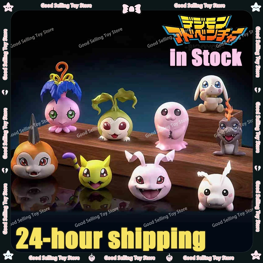 Digital Monsters Figure Gabumon Pyocomon Koromon Mochimon Tokomon Plotmon Anime Figure Mini Pvc Model Collection Custom Toy Gift
Digital Monsters Figure Gabumon Pyocomon Koromon Mochimon Tokomon Plotmon Anime Figure Mini Pvc Model Collection Custom Toy Gift