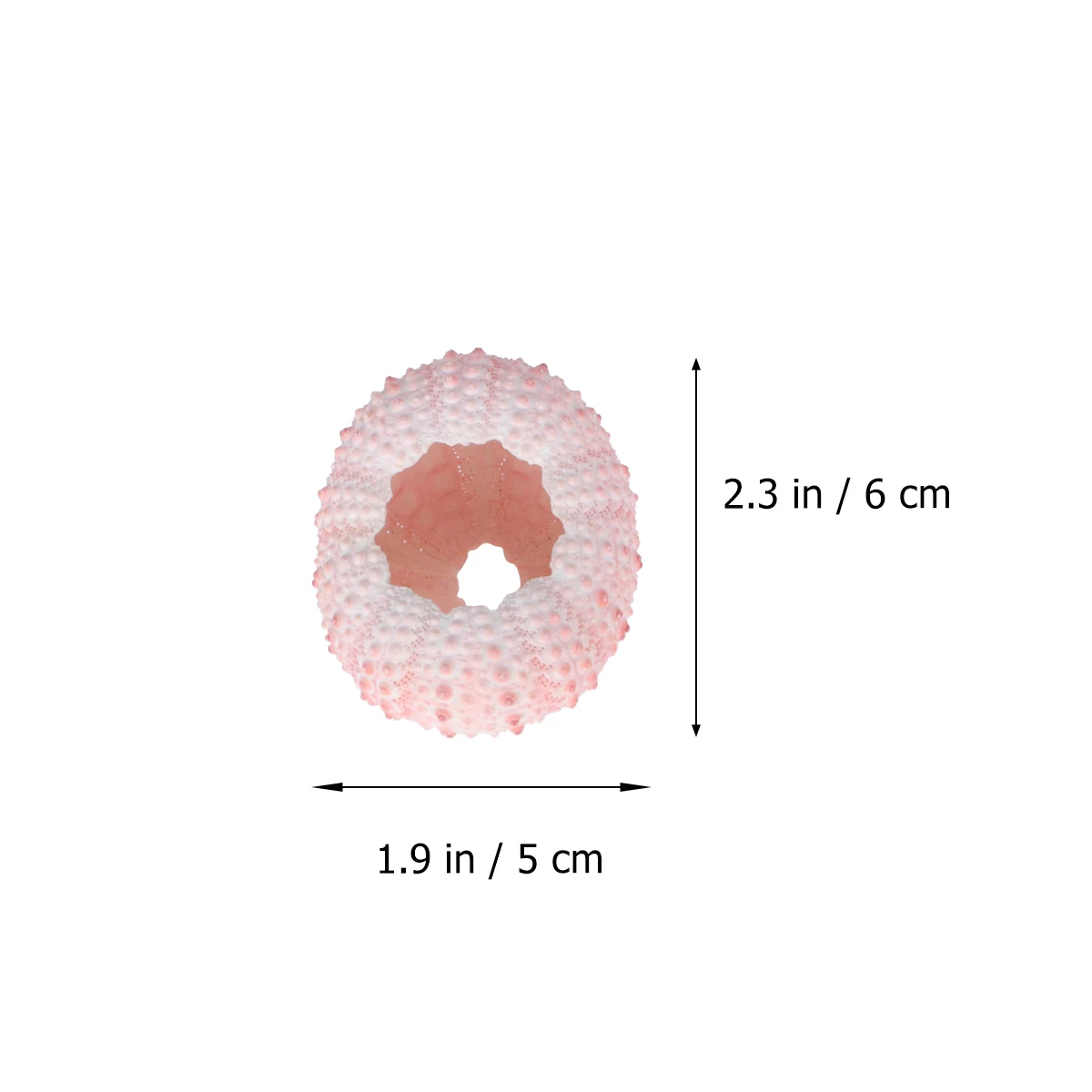 5 Pcs Natural Planting Holder Sea Shell Shells Tillandsia Plants Container Air Containers Pink
5 Pcs Natural Planting Holder Sea Shell Shells Tillandsia Plants Container Air Containers Pink