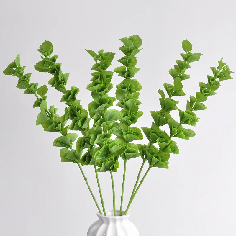 3Pcs/lot 47Head Fake Green Plants Feel Shell Leaves Diy Bouquet Accessories Wedding Decor Party Table Home Room Artificial Leaf
3Pcs/lot 47Head Fake Green Plants Feel Shell Leaves Diy Bouquet Accessories Wedding Decor Party Table Home Room Artificial Leaf