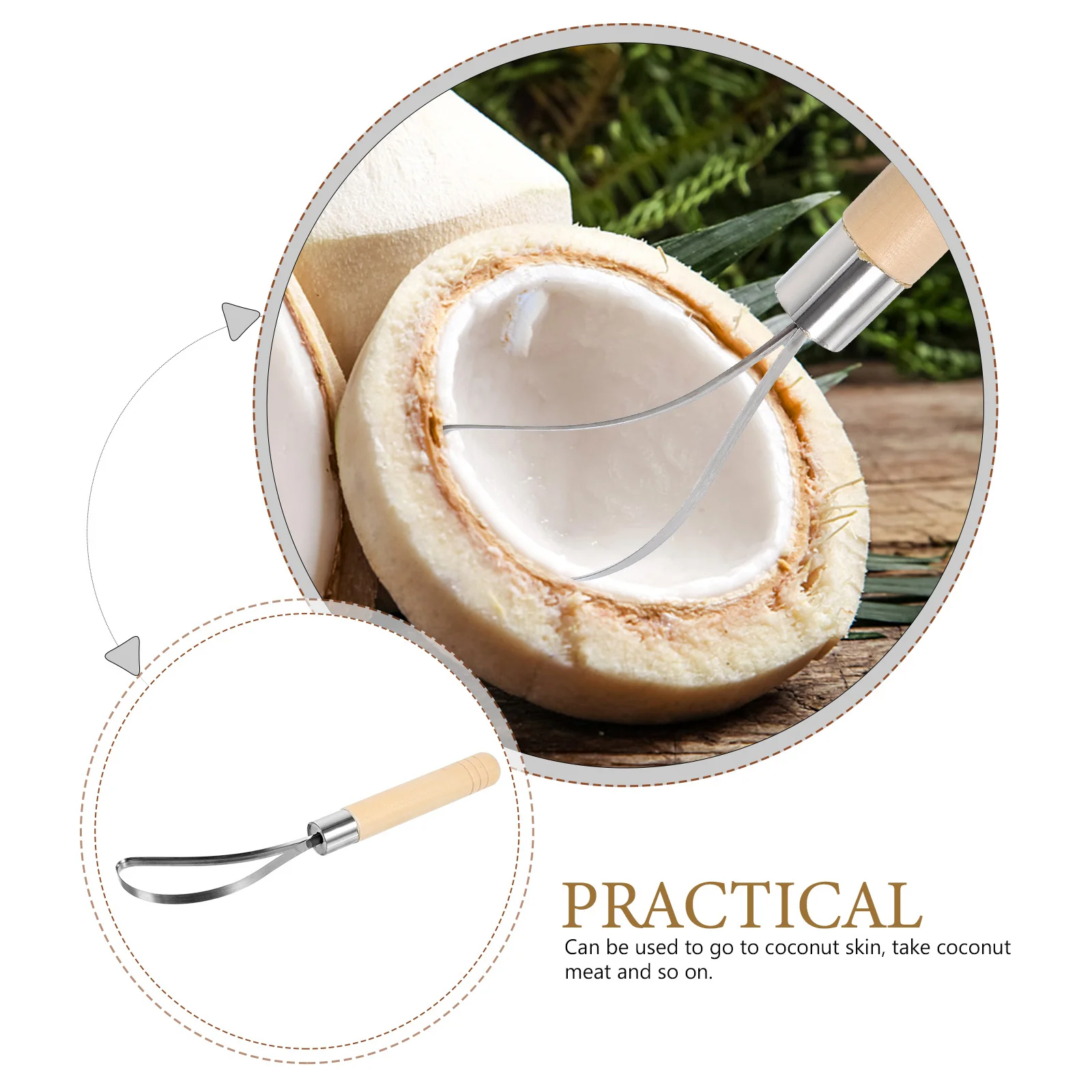 Stainless Steel Coconut Meat Scraper Easy Cleaning Unique Design Steady Grip for Fresh Coconut Enthusiasts
Stainless Steel Coconut Meat Scraper Easy Cleaning Unique Design Steady Grip for Fresh Coconut Enthusiasts