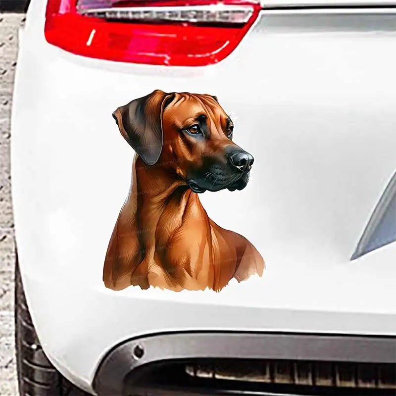 Rhodesian Ridgeback Dog Pet Animal Car Sticker Waterproof Styling Automobiles Motorcycle Exterior Accessories Vinyl Decals Y378
Rhodesian Ridgeback Dog Pet Animal Car Sticker Waterproof Styling Automobiles Motorcycle Exterior Accessories Vinyl Decals Y378